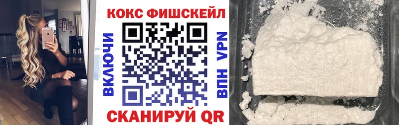 COCAIN Fish Scale  Купить закладки  Приволжск 