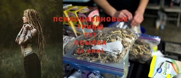 твердый Краснотурьинск
